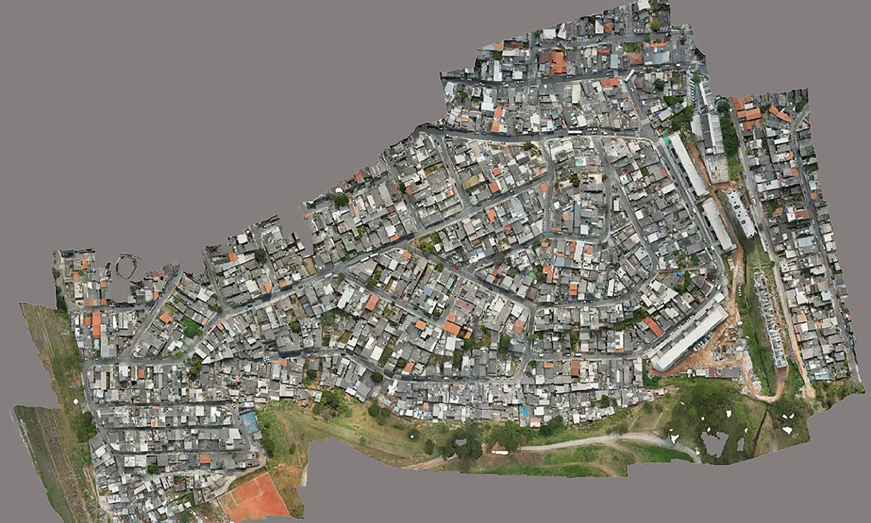 Comunidade Árvore de São Thomaz